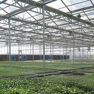 חממת הידרופוניקה